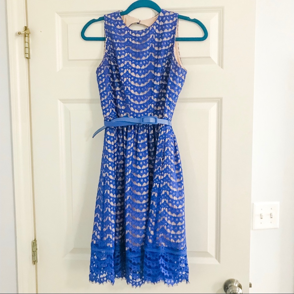 Cobalt Blue Lace cocktail dress | only worn once